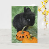 Nom Nomハロウィンのバニーカード カード (黄色い花)