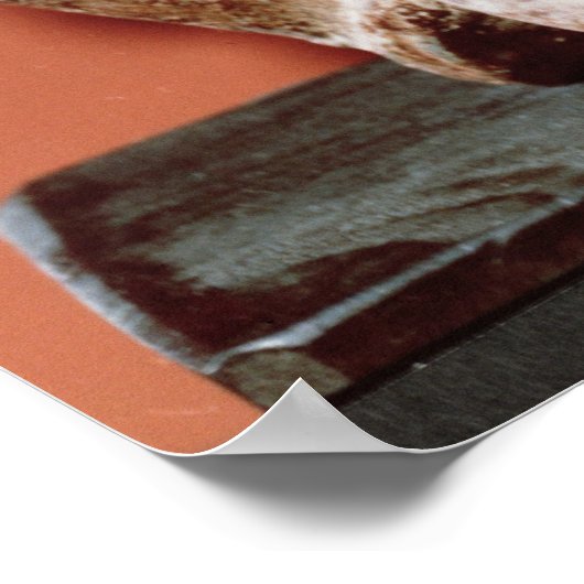 Nomali figure of the Mende tribe ポスター (角)