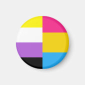 Nonbinary Pansexual Dual Pride Flag マグネット (正面)