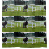 Nonesuch at Cedar Point  シャワーカーテン (正面)