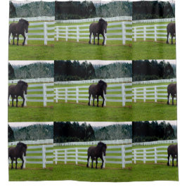 Nonesuch at Cedar Point  シャワーカーテン