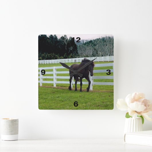 Nonesuch at Cedar Point  スクエア壁時計 (ホーム)