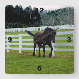 Nonesuch at Cedar Point  スクエア壁時計