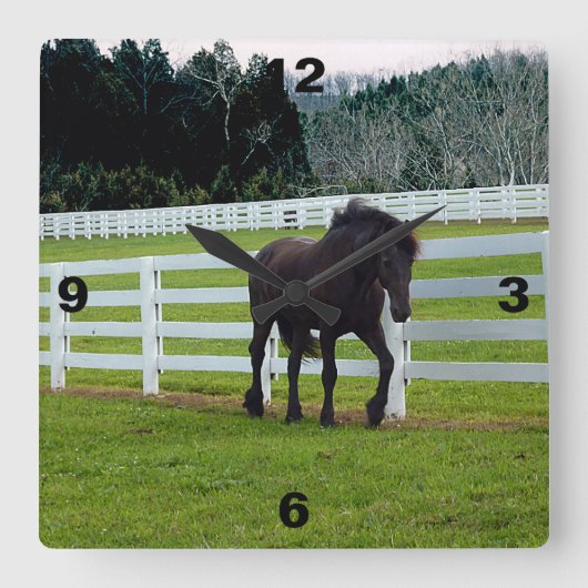 Nonesuch at Cedar Point  スクエア壁時計 (正面)