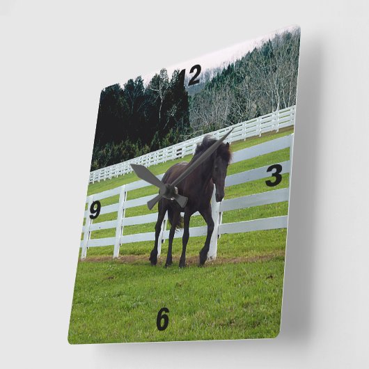 Nonesuch at Cedar Point  スクエア壁時計 (傾斜)