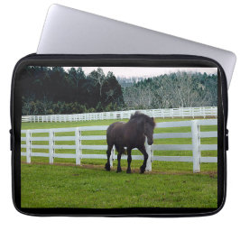 Nonesuch at Cedar Point  ラップトップスリーブ