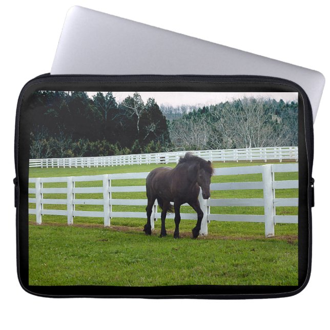 Nonesuch at Cedar Point  ラップトップスリーブ (正面)