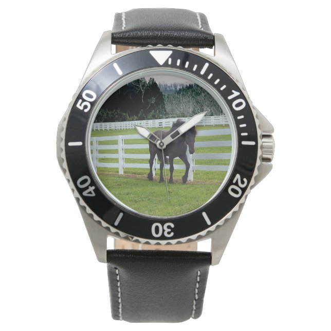 Nonesuch at Cedar Point  腕時計 (正面)