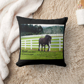 Nonesuch at Cedar Point w Job 39 クッション