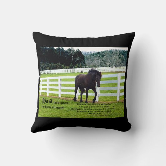 Nonesuch at Cedar Point w Job 39 クッション (裏面)