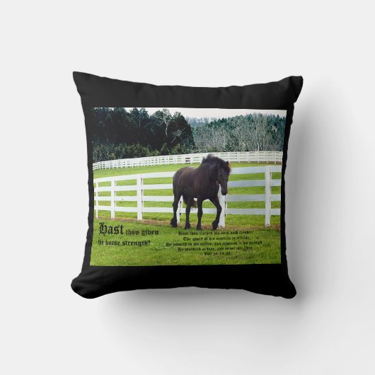 Nonesuch at Cedar Point w Job 39 クッション (正面)