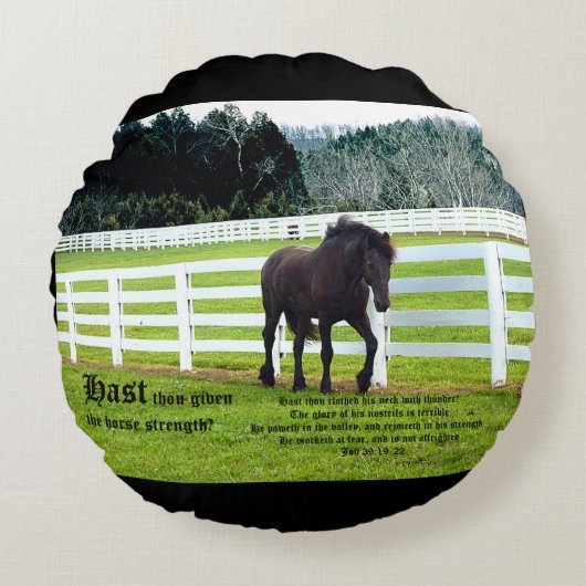 Nonesuch at Cedar Point w Job 39 ラウンドクッション (正面)