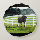 Nonesuch at Cedar Point w Job 39 ラウンドクッション (裏面)