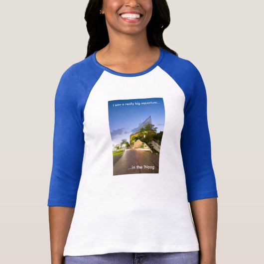 「Noogのアクアリウム3/4枚の袖のRaglanのTシャツ Tシャツ (正面)