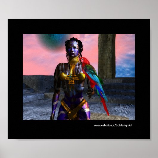 NORA CYBER WARRIOR1 ポスター (正面)