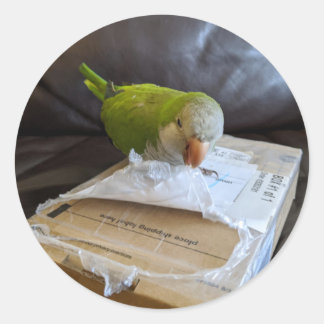 Norbert the Parrotはパッケージを開くのが大好き ラウンドシール