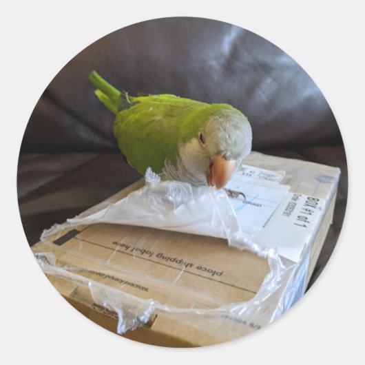 Norbert the Parrotはパッケージを開くのが大好き ラウンドシール (正面)