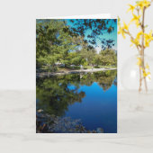 NorCalの自然の挨拶状: プラタナスのプールカード カード (黄色い花)
