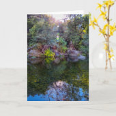 NorCalの自然の挨拶状: 上部公園カード1 カード (黄色い花)