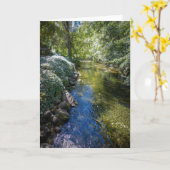 NorCalの自然の挨拶状: 大きいチコの入り江カード カード (黄色い花)