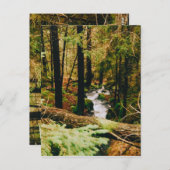 Nordic Woods ポストカード (正面/裏面)