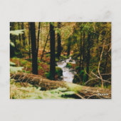 Nordic Woods ポストカード (裏面)