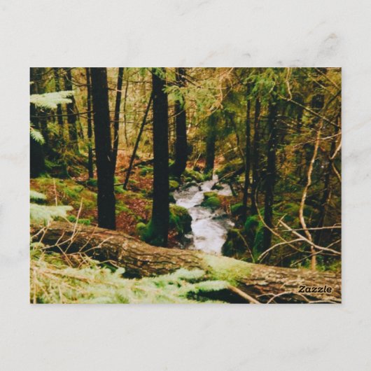 Nordic Woods ポストカード (裏面)