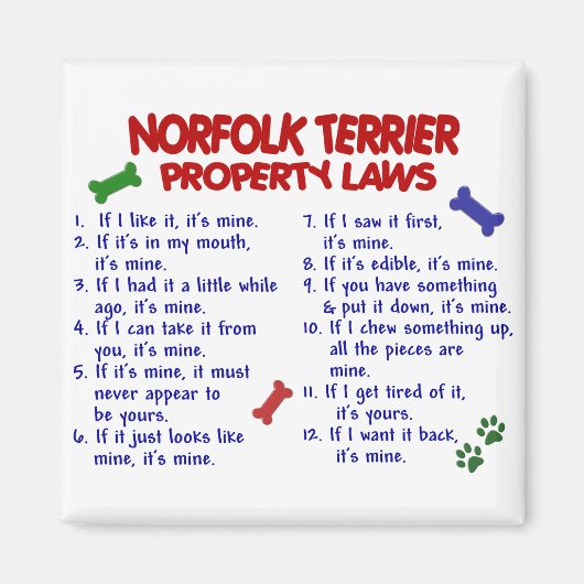 NORFOLK TERRIERプロパティの法律2 マグネット (正面)
