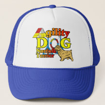 Norfolk_Terrier_機敏性