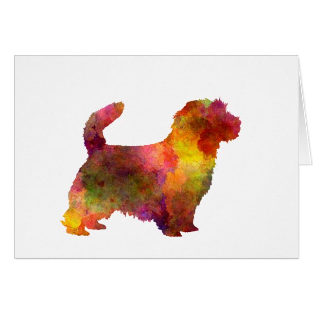 Norfolk Terrier in watercolor (正面横)