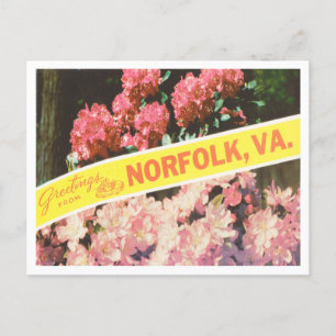 Norfolk, Virginia Vintage Travel ポストカード