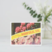 Norfolk, Virginia Vintage Travel ポストカード (スタンド正面)