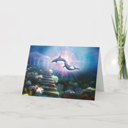 Noriのイルカ カード (正面)