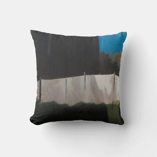 Normaの洗浄2012年 クッション (正面)