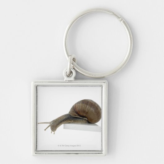 Normalsnail キーホルダー (正面)