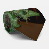 normtie ネクタイ (ロール)