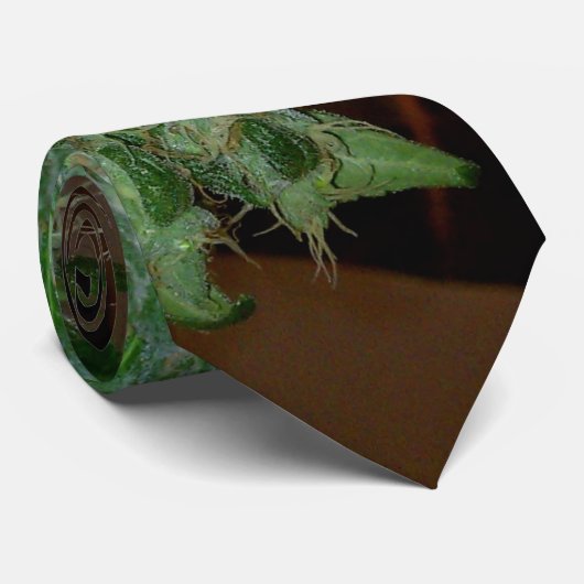 normtie ネクタイ (ロール)