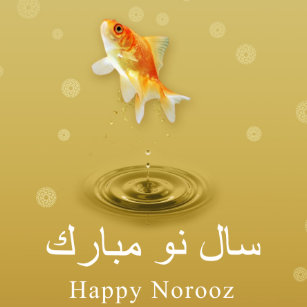 魚ギフトボックス Zazzle Co Jp 魚ギフトボックス Zazzle Co Jp