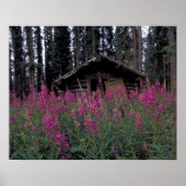 North America, Canada, Yukon. Abandoned trappers ポスター (正面)