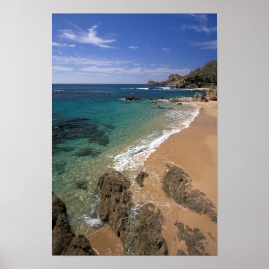 North America, Mexico, Baja California Sur, ポスター (正面)