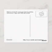 North_america_terrain_2003_map ポストカード (裏面)