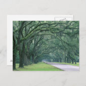 North America, U.S.A., Georgia, Savannah, ポストカード (正面/裏面)