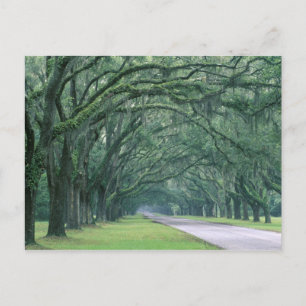 North America, U.S.A., Georgia, Savannah, ポストカード