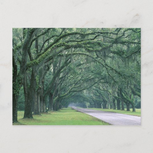 North America, U.S.A., Georgia, Savannah, ポストカード (正面)