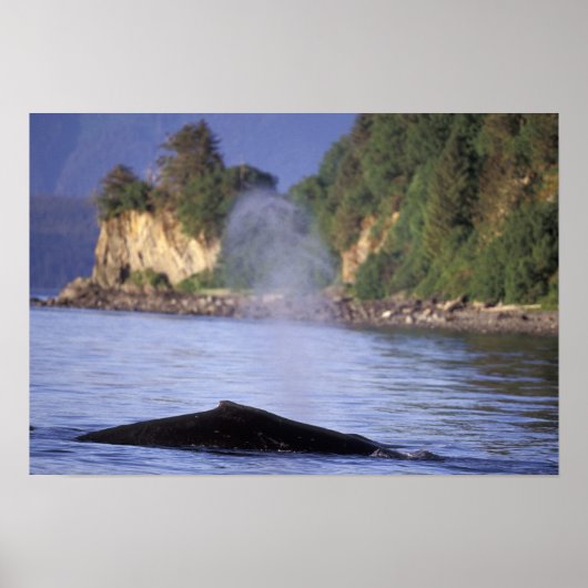 North America, USA, Alaska, Inside Passage. ポスター (正面)