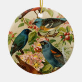 North American Birds | Gustav Mützel Postcard セラミックオーナメント (正面)