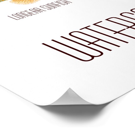 North American Freshwater Sunfish ポスター (角)