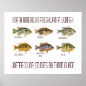 North American Freshwater Sunfish ポスター (正面)