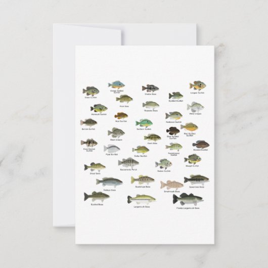 North American Sunfish Group サンキューカード (正面)