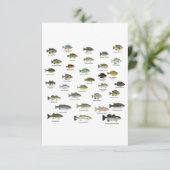 North American Sunfish Group サンキューカード (スタンド正面)